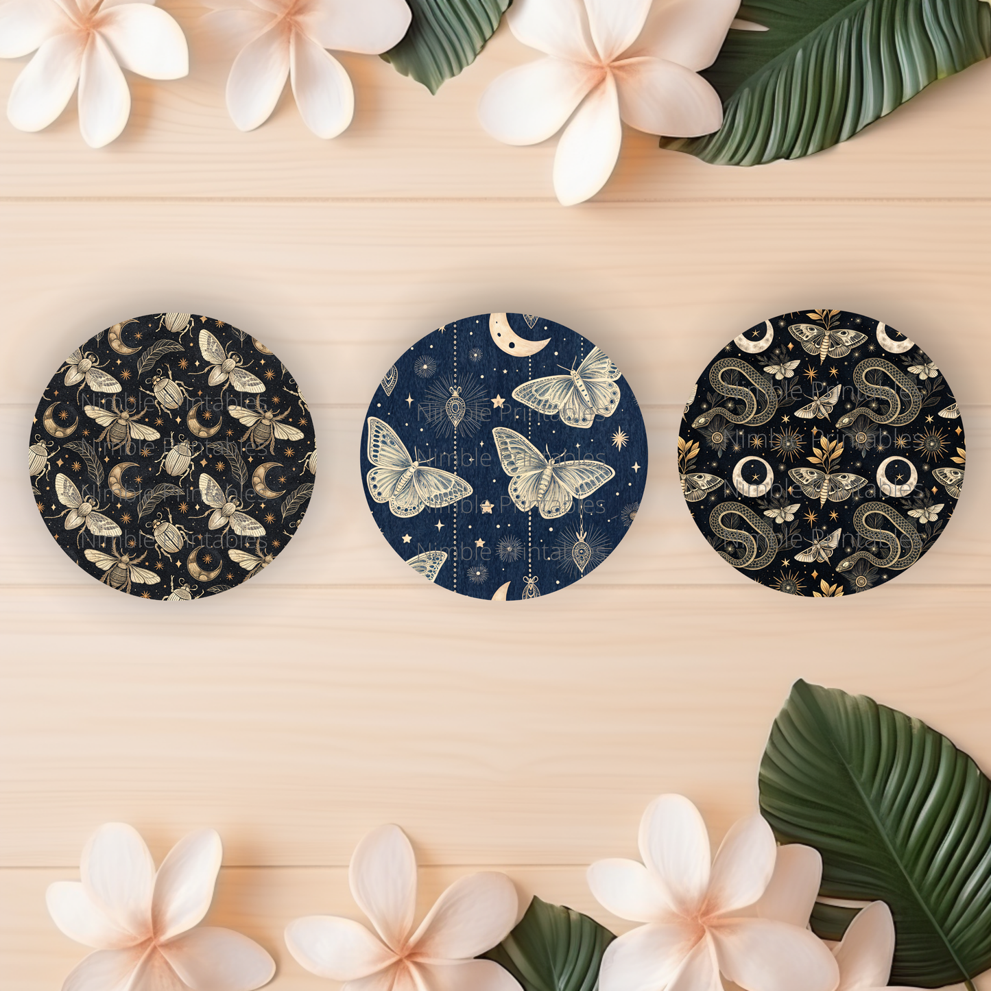 Luna Moth Car Coaster PNG, Car Coaster PNG, Instant Downloads Sublimation Design Car Accessories Snake, PNG, Cat PNG, Gothic PNG