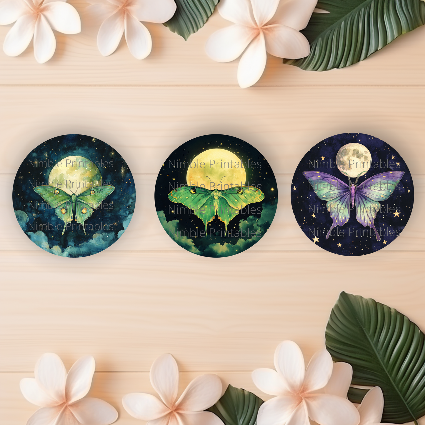 Luna Moth Car Coaster PNG Instant Downloads Sublimation Design Car Accessories Whimsical PNG, Witchy PNG Car Coaster Designs Round Key Chain