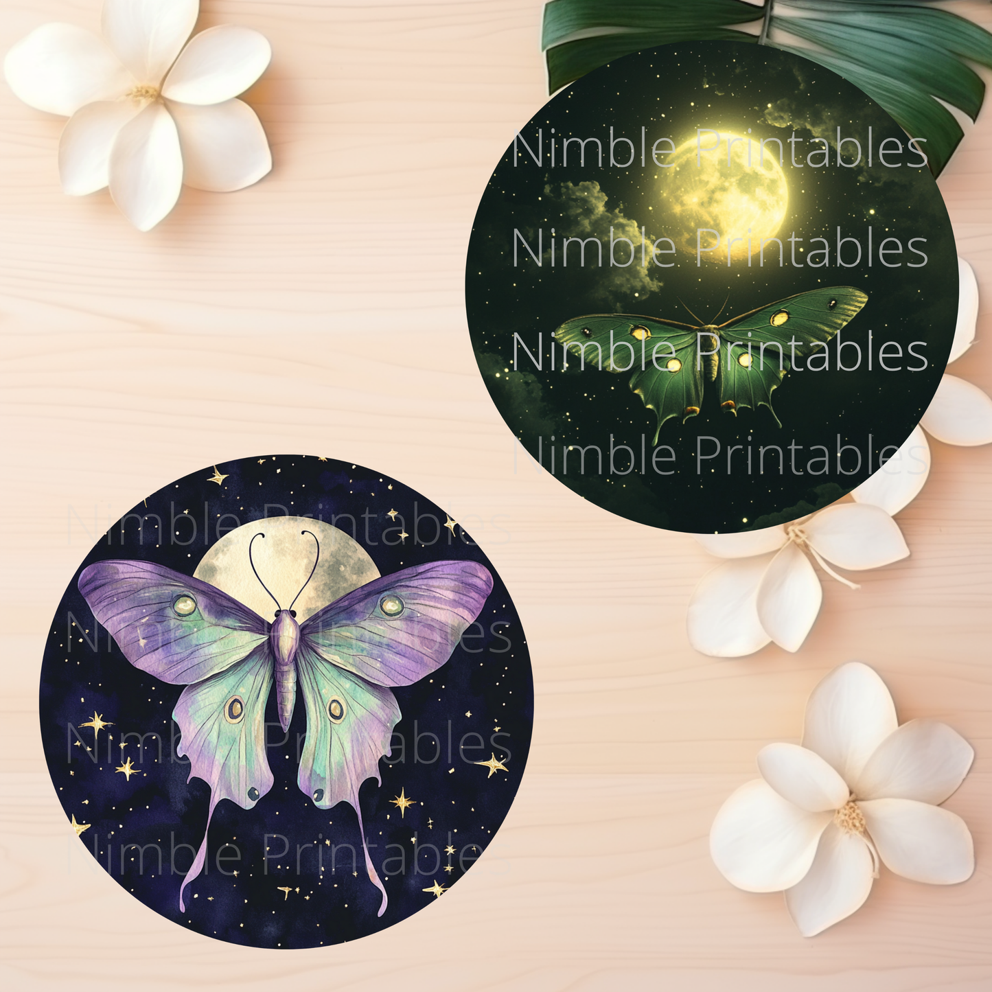 Luna Moth Car Coaster PNG Instant Downloads Sublimation Design Car Accessories Whimsical PNG, Witchy PNG Car Coaster Designs Round Key Chain