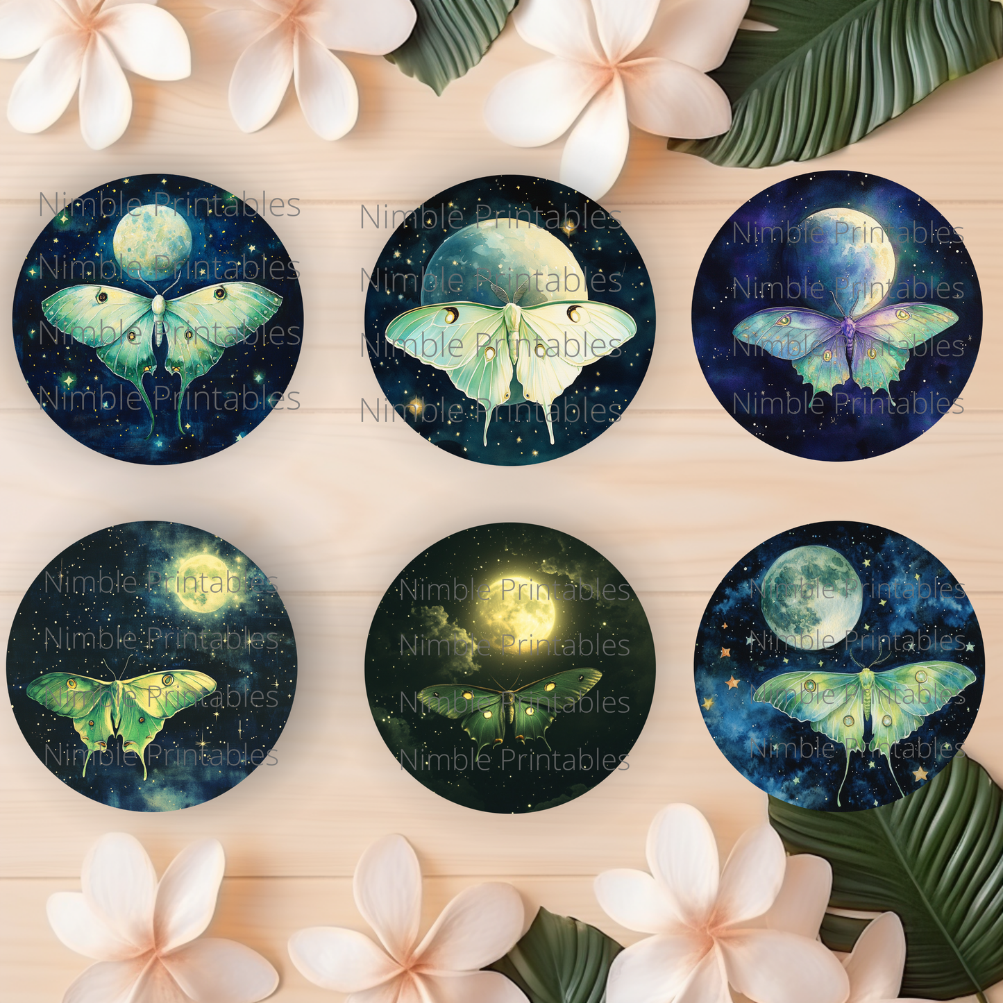 Luna Moth Car Coaster PNG Instant Downloads Sublimation Design Car Accessories Whimsical PNG, Witchy PNG Car Coaster Designs Round Key Chain