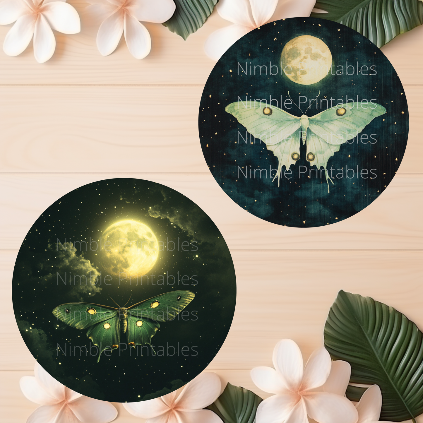 Luna Moth Car Coaster PNG Instant Downloads Sublimation Design Car Accessories Whimsical PNG, Witchy PNG Car Coaster Designs Round Key Chain