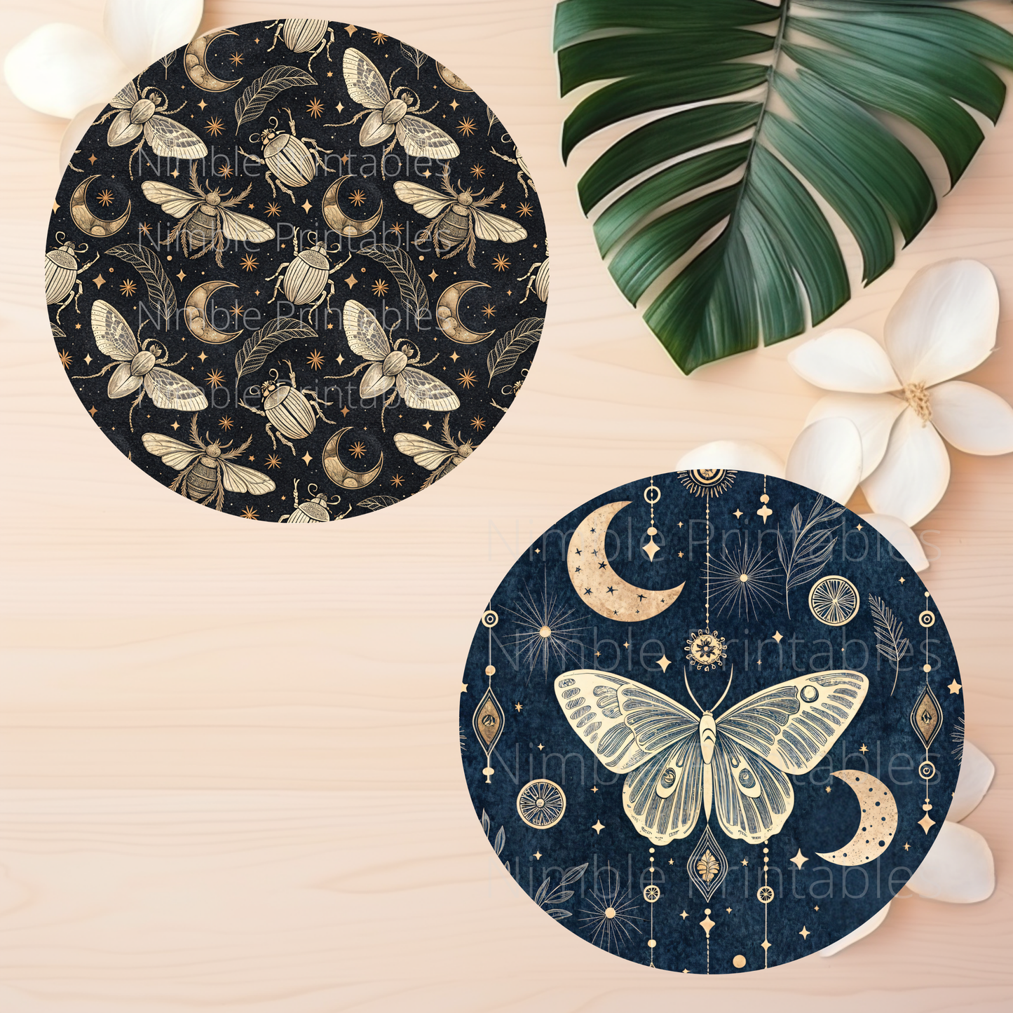 Luna Moth Car Coaster PNG, Car Coaster PNG, Instant Downloads Sublimation Design Car Accessories Snake, PNG, Cat PNG, Gothic PNG