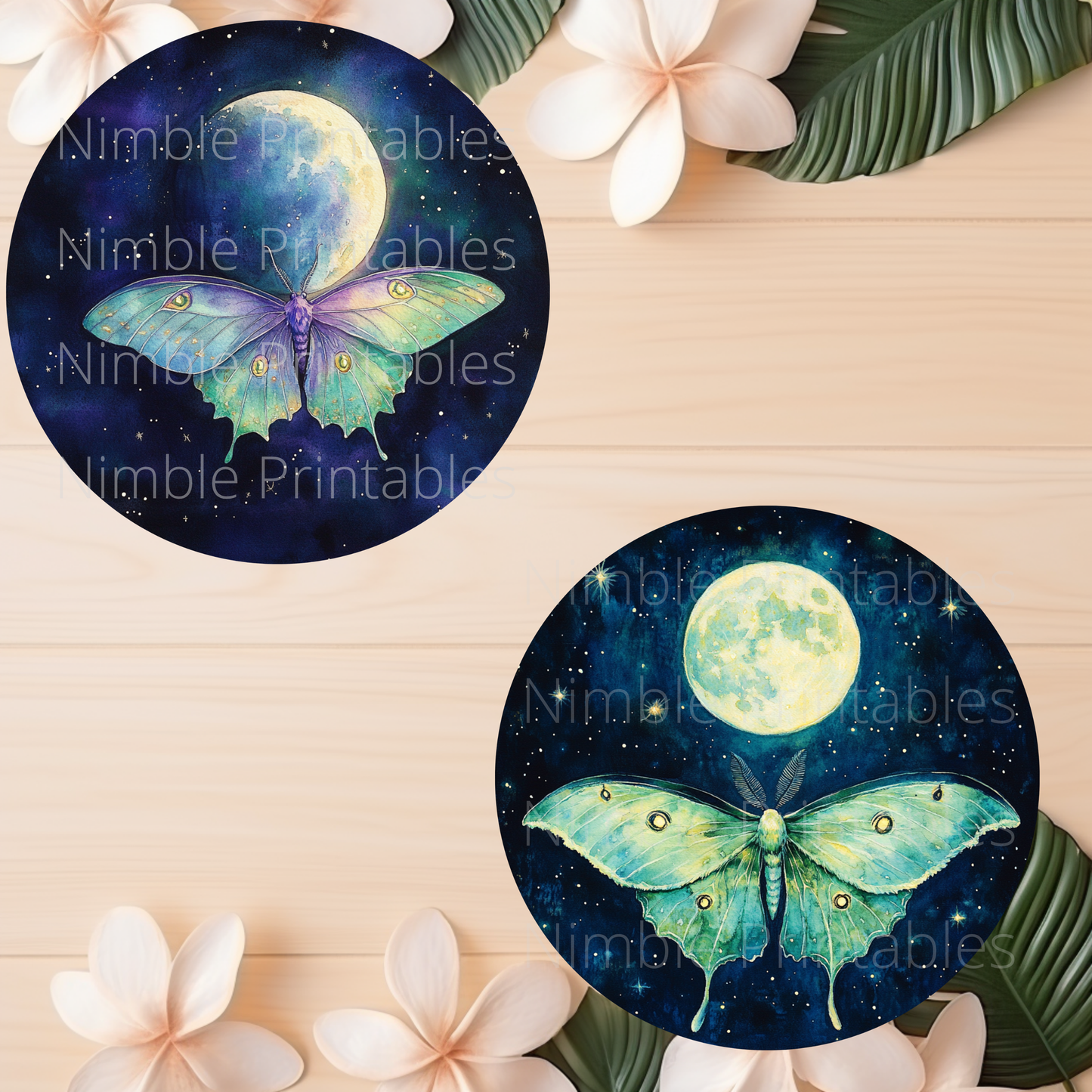 Luna Moth Car Coaster PNG Instant Downloads Sublimation Design Car Accessories Whimsical PNG, Witchy PNG Car Coaster Designs Round Key Chain