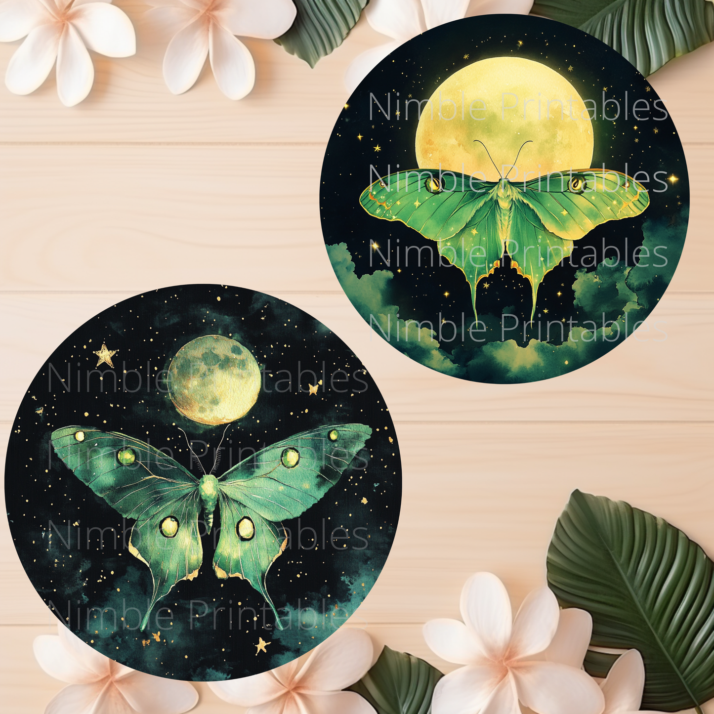 Luna Moth Car Coaster PNG Instant Downloads Sublimation Design Car Accessories Whimsical PNG, Witchy PNG Car Coaster Designs Round Key Chain